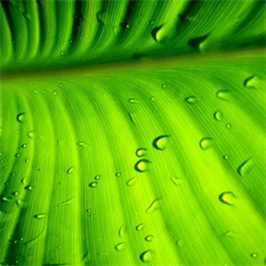 适宜技术推广经费大概多少？聊聊预算标准与